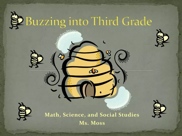 buzzing into third grade