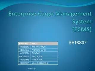 Enterprise Cargo Management System (ECMS)