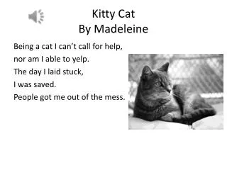 Kitty Cat By Madeleine