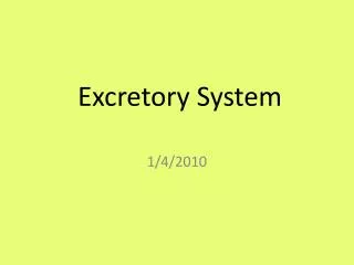 Excretory System