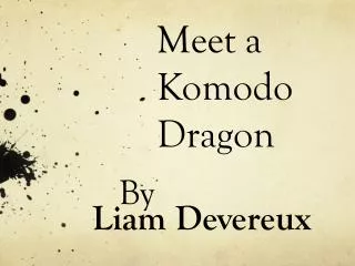 Meet a Komodo Dragon