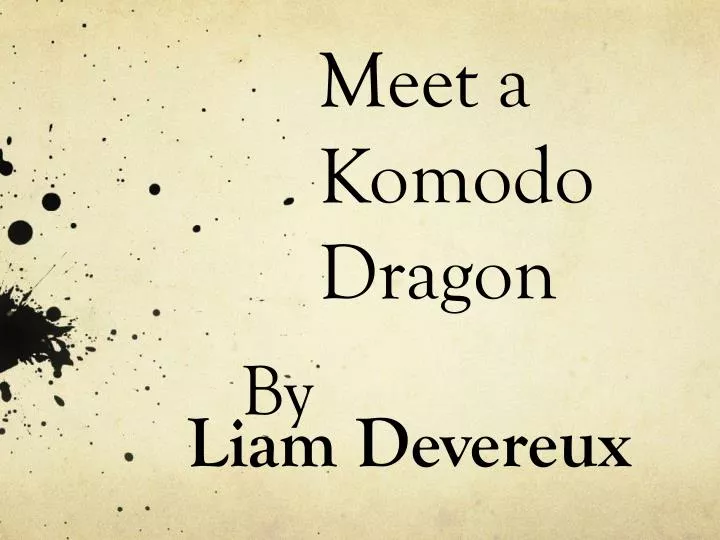 meet a komodo dragon