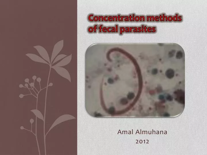 concentration methods of fecal parasites