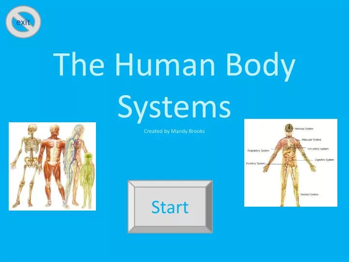 the human body systems created by mandy brooks