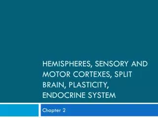 Hemispheres, Sensory and Motor Cortexes, Split Brain, Plasticity, Endocrine System
