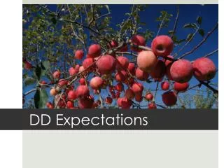 DD Expectations