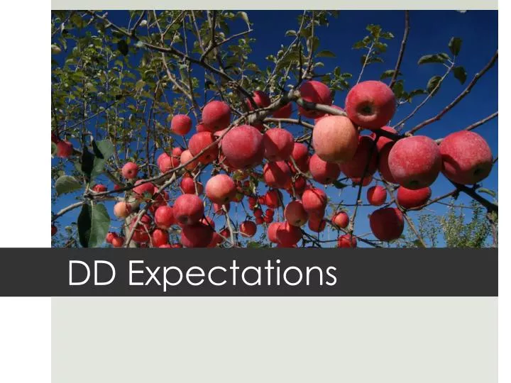 dd expectations