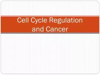 Cell Cycle Regulation and Cancer