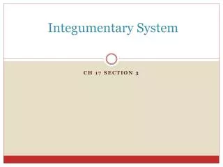 Integumentary System