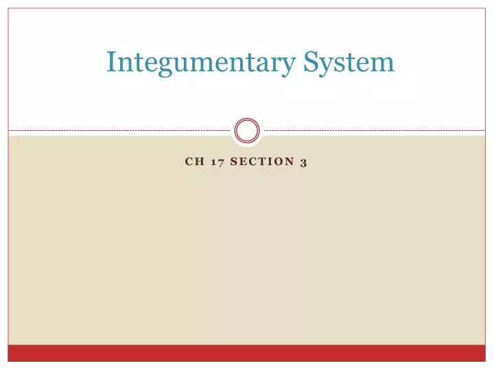 integumentary system