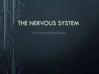 the nervous system