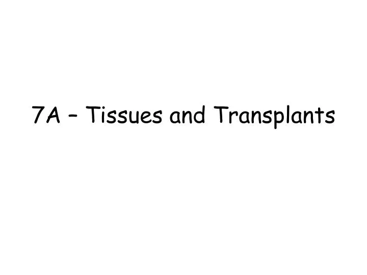 7a tissues and transplants