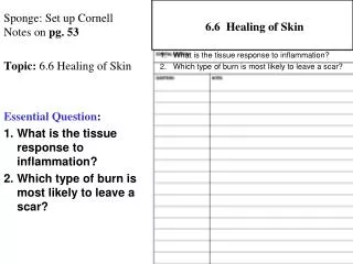 Sponge: Set up Cornell Notes on pg. 53 Topic: 6.6 Healing of Skin Essential Question :