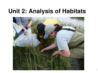 Unit 2: Analysis of Habitats