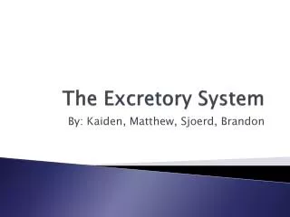 The Excretory System