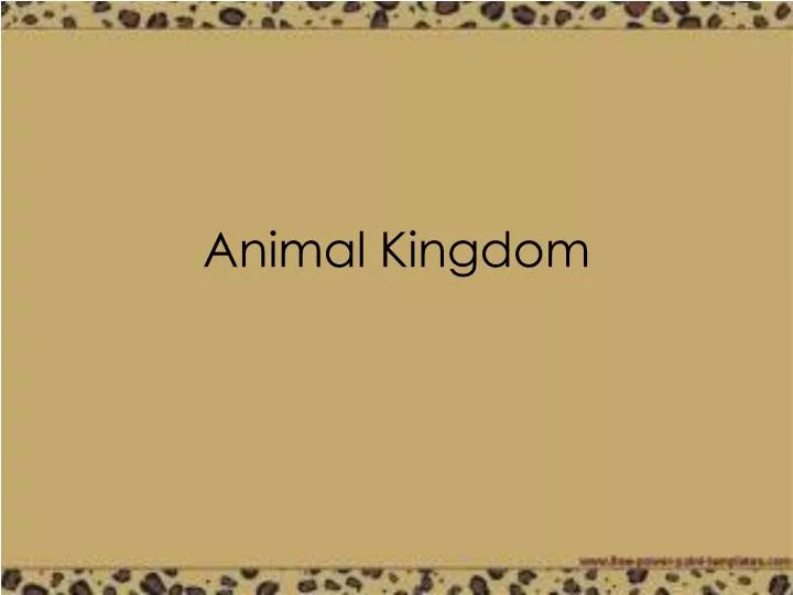 animal kingdom