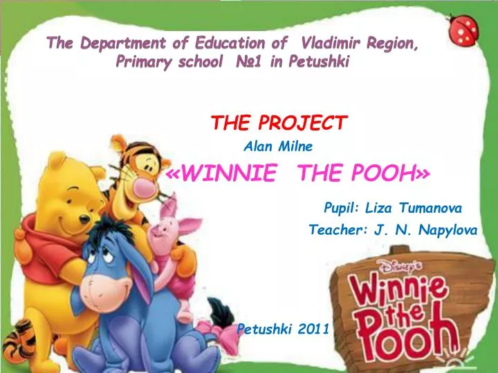 the department of education of vladimir region primary school 1 in petushki