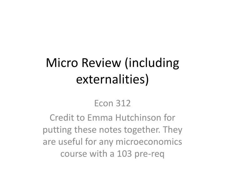 micro review including externalities