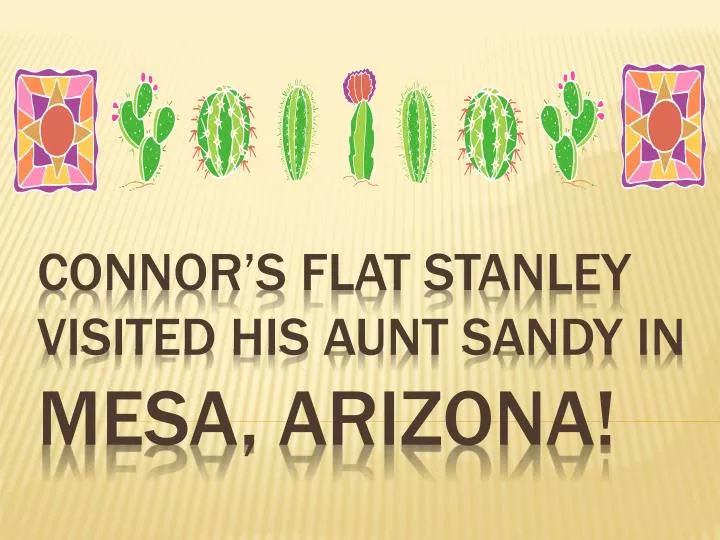 connor s flat stanley visited his aunt sandy in mesa arizona
