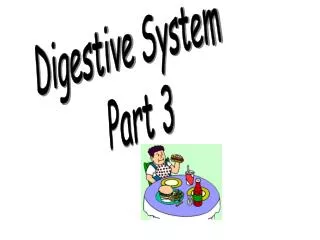 Digestive System Part 3