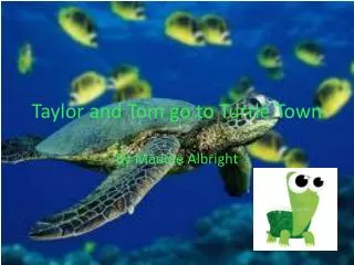Taylor and Tom go to Turtle Town