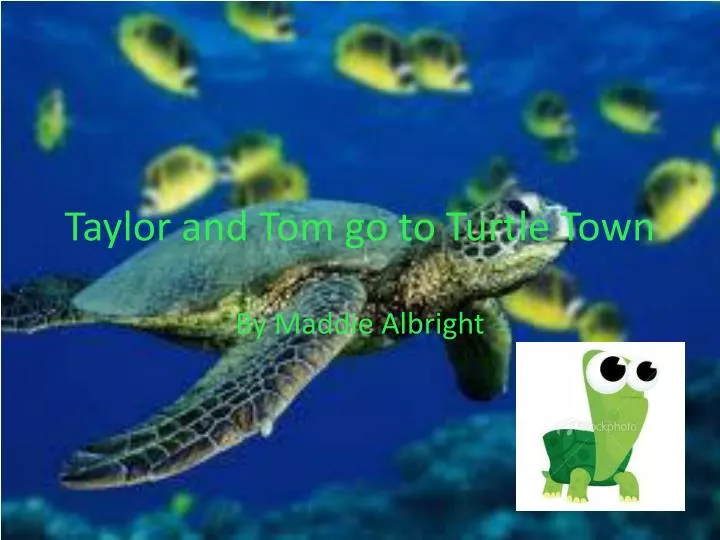 taylor and tom go to turtle town
