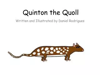 Quinton the Quoll