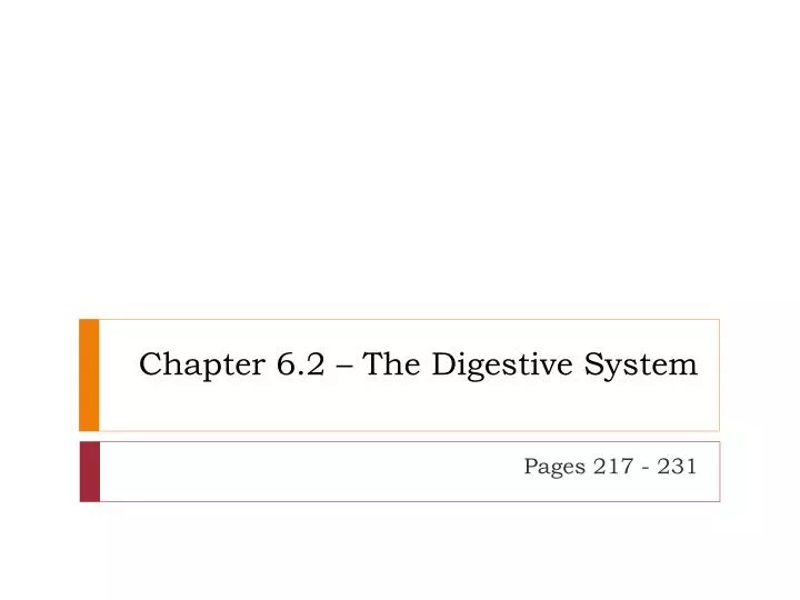 chapter 6 2 the digestive system