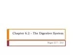 Understanding Macromolecules & Digestive System - slide 1