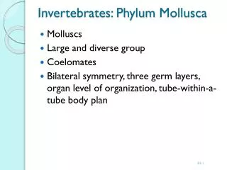 Invertebrates: Phylum Mollusca