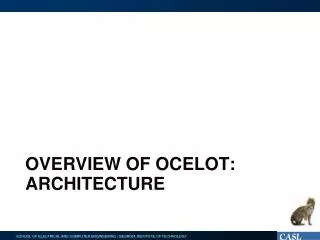 Overview of Ocelot: architecture