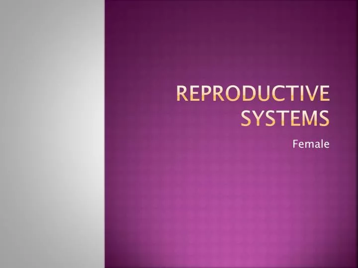reproductive systems