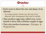 Ovaries - slide 1