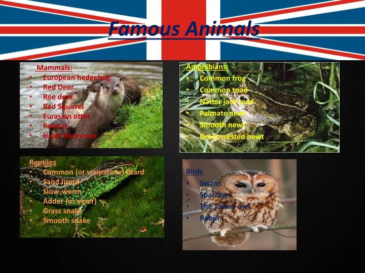 famous animals