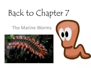 Back to Chapter 7