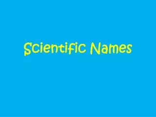 Scientific Names