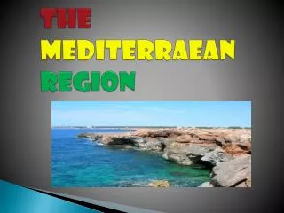 THE MEDITERRAEAN REGION