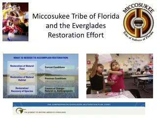 Miccosukee Tribe of Florida and the Everglades Restoration Effort