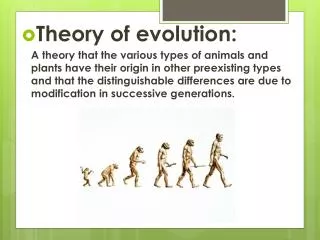 Theory of evolution: