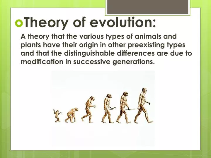 PPT - Theory Of Evolution: PowerPoint Presentation, Free Download - ID ...