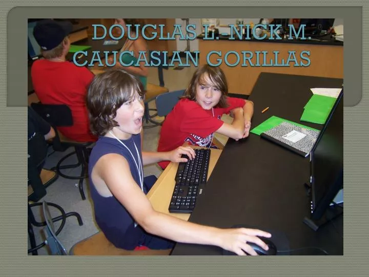 douglas l nick m caucasian gorillas