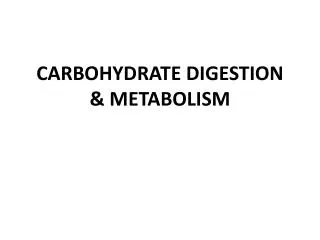 CARBOHYDRATE DIGESTION &amp; METABOLISM