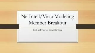NetIntell/Vista Modeling Member Breakout