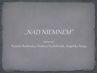 nad niemnem