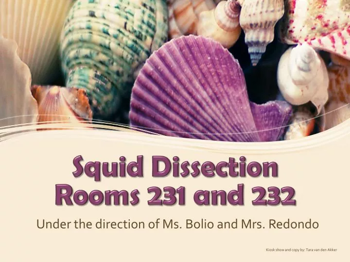 squid dissection rooms 231 and 232