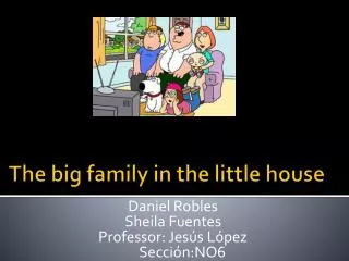 The big family in the little house