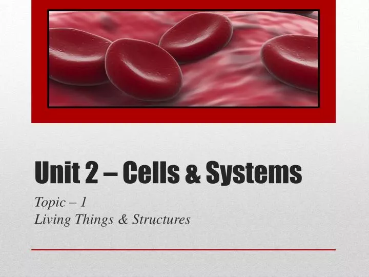 unit 2 cells systems