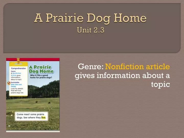 a prairie dog home unit 2 3