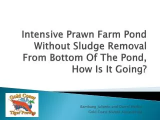Intensive Prawn Farm Pond Without Sludge Removal From Bottom Of The Pond, How Is I t Going?