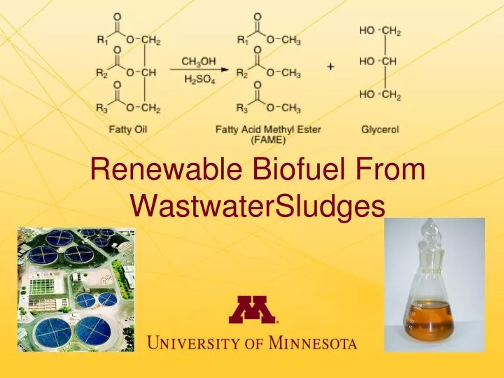 renewable biofuel from wastwatersludges